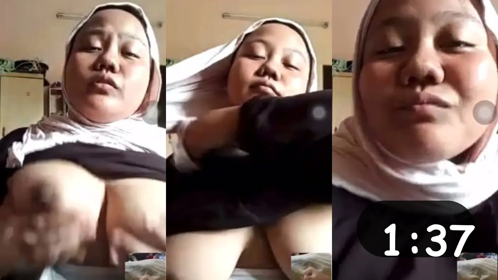 259 xamateur amateur